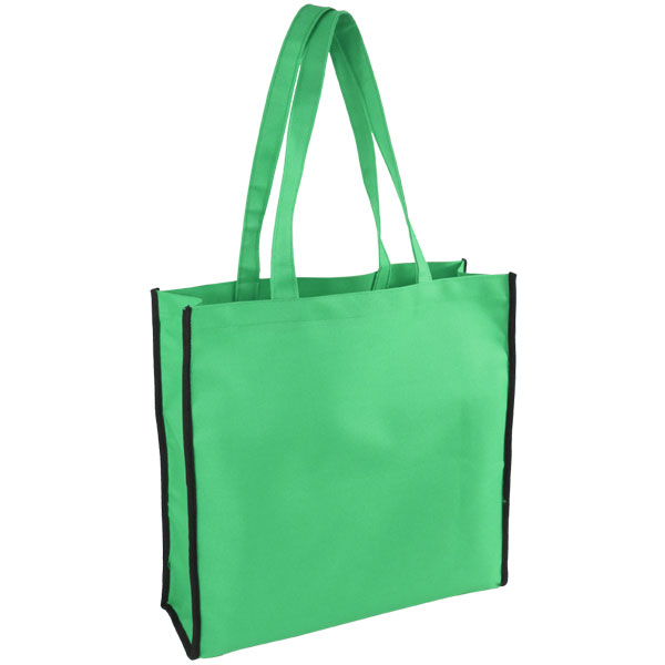 Bag066 g